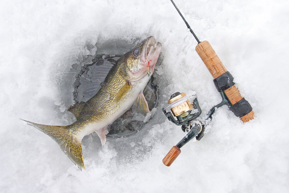 Ice Fishing Paradise